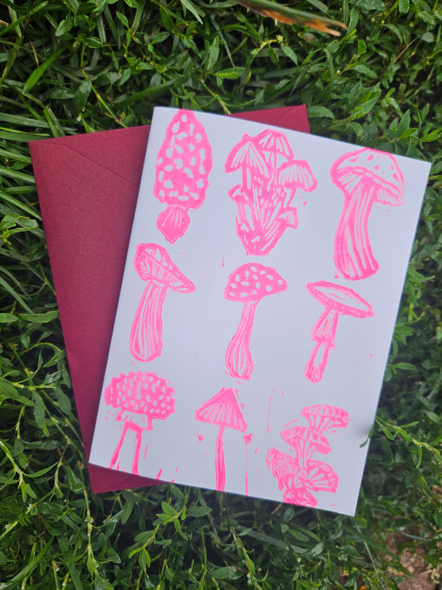 Hot Mycology