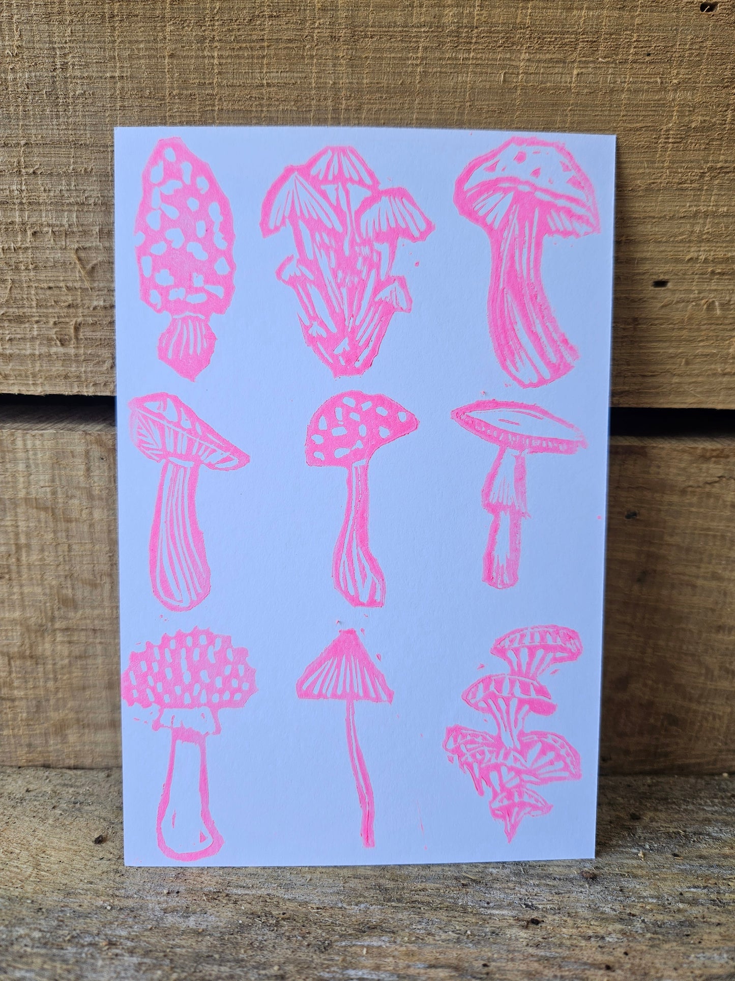 Hot Mycology