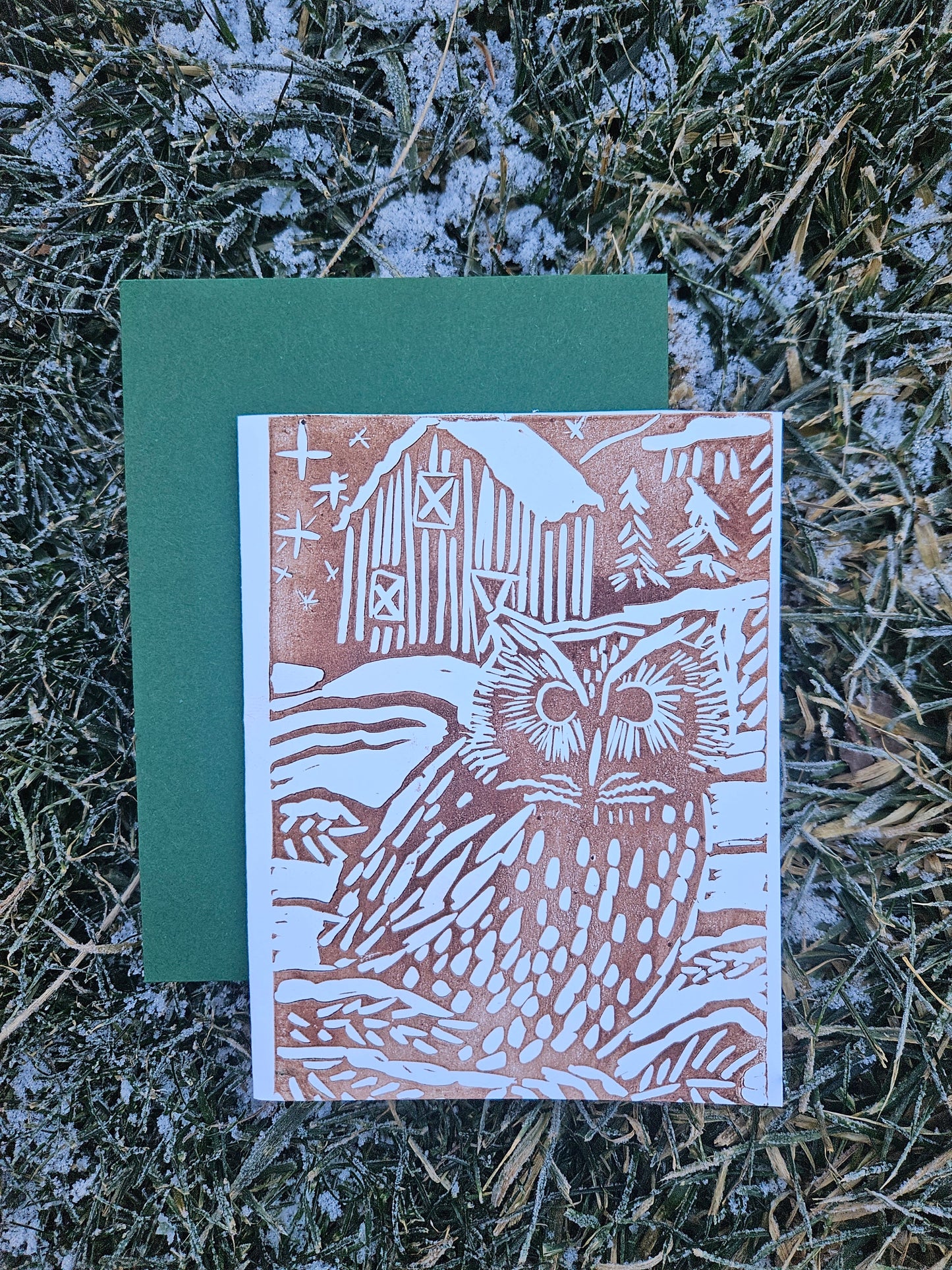 Owl
