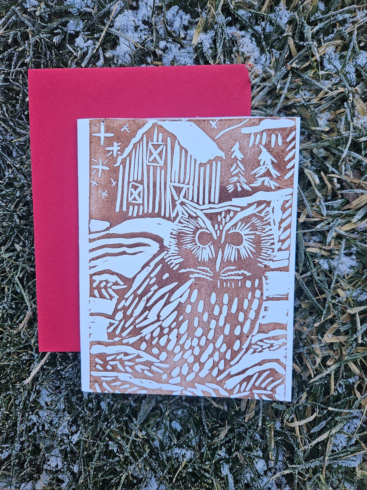 Owl