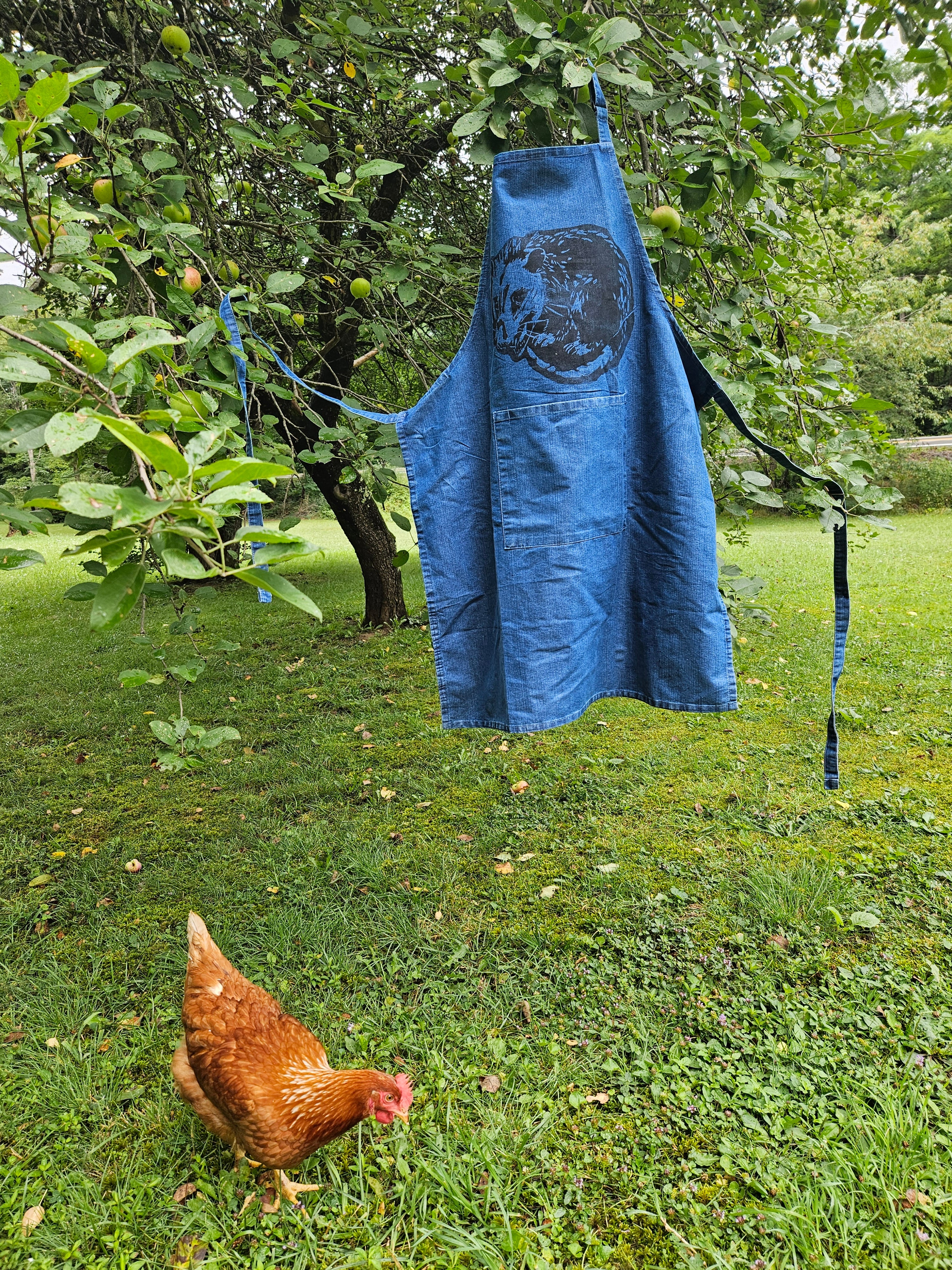 Opossum Apron – State Line Press